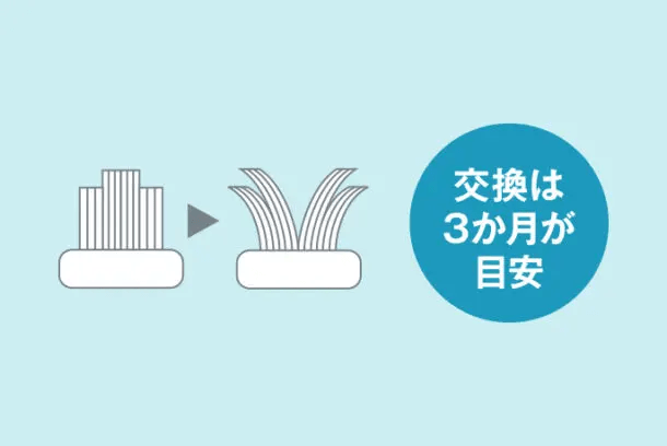 ドルツの替えブラシ推奨交換時期