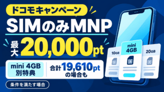ドコモのSIMのみMNP最大20,000pt。mini 4GBの別特典と、条件を満たす場合の合計19,610ptを示す図。