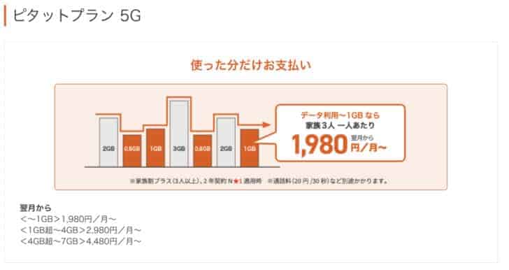 ピタットプラン 5G