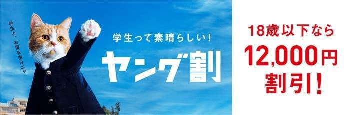 ワイモバイルのヤング割
